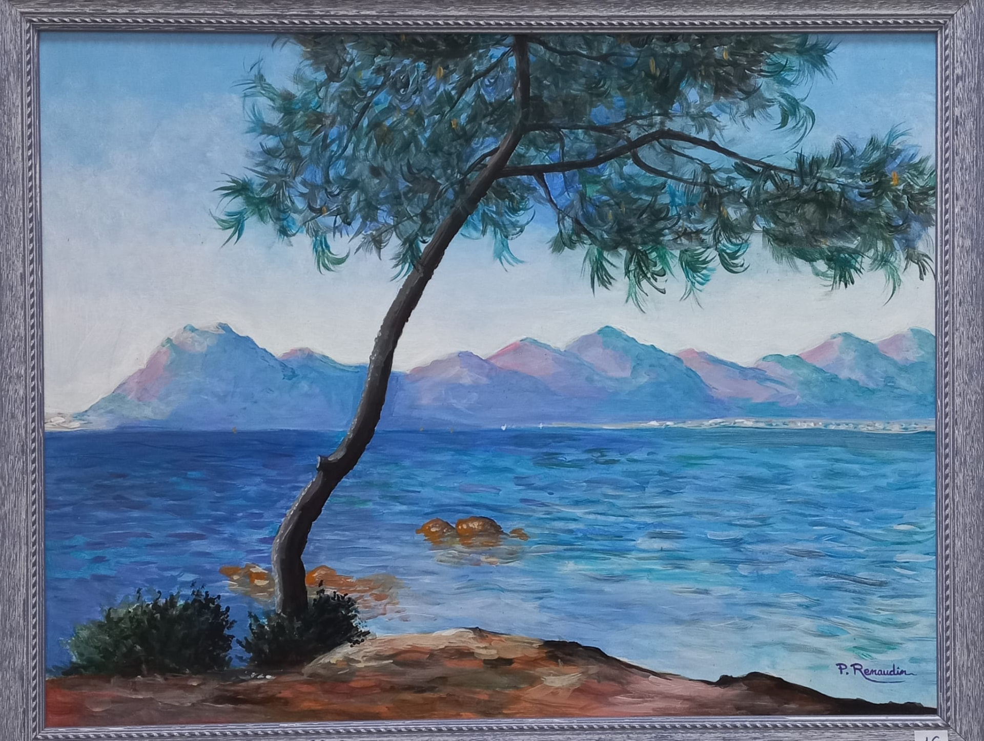 Pin penché au-dessus d'une baie bleue, montagnes mauves à l'horizon
